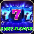 andy flower Apps (Tools & Injectors) Max v3.5.5