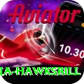 antigua hawksbill Games (Casino & Earning) Pro v2.3.1