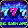 bbl big bash apk Apps (Tools & Injectors) Turbo v5.5.6