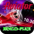 bingo VIP Pro v1.1.3