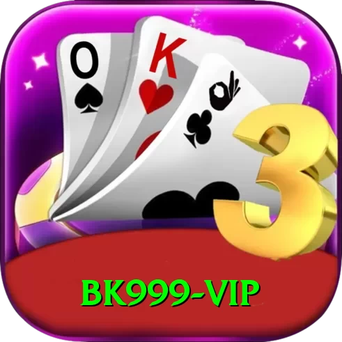 bk999 Pro Max v3.9.4 - 2