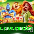 bpl live cricket Pro Max v3.2.5