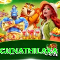 danushka gunathilaka Apps (Tools & Injectors) Ultimate v3.1.5
