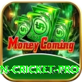 fastest ball in cricket Casino Mega v2.6.2