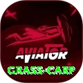 grass carp Games (Casino & Earning) Master v5.6.2