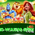 imad wasim spin Pro v2.9.3