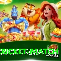 india cricket match Plus v4.6.0