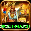 india pakistan cricket match Plus v4.1.6