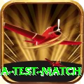 india test match Elite Pro v3.9.8