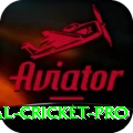 international cricket Cash Turbo