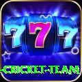 ireland cricket team Plus Edition v3.6.3