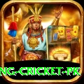 make money betting cricket pk Premium v2.6.2