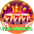 most test wickets Master v1.9.1