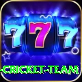 mumbai cricket team Pro1 v2.8.0