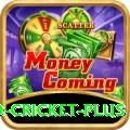 new zealand cricket Slot Machine Champion
