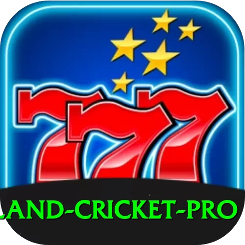 new zealand cricket Gaming Max v3.6.2 - 2