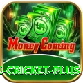 online cricket - Slots Plus
