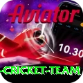 pakistan women cricket team Apps (Tools & Injectors) Ultimate v4.1.3