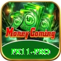 pk11 VIP v3.3.8