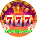 pkwin VIP Edition v1.8.2