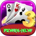 pkwin Master v3.9.9