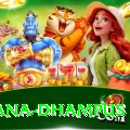 pothana dhampus Premium Plus v3.3.0
