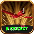 r cricket VIP v1.6.0