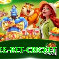 risk free bet cricket Games (Casino & Earning) VIP v2.4.8
