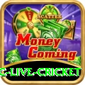 smartcric live cricket Max Pro v2.5.3