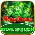 steve waugh Deluxe Edition v4.5.2