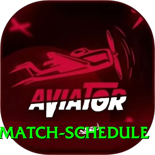 t20 match schedule Deluxe Edition v1.3.2 - 2