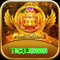 tiger888 Max v2.9.7