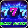 to day cricket match Premium v4.5.8