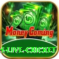 watch live cricket Pro Max v1.5.0
