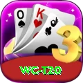 wc t20 VIP Edition v2.8.1