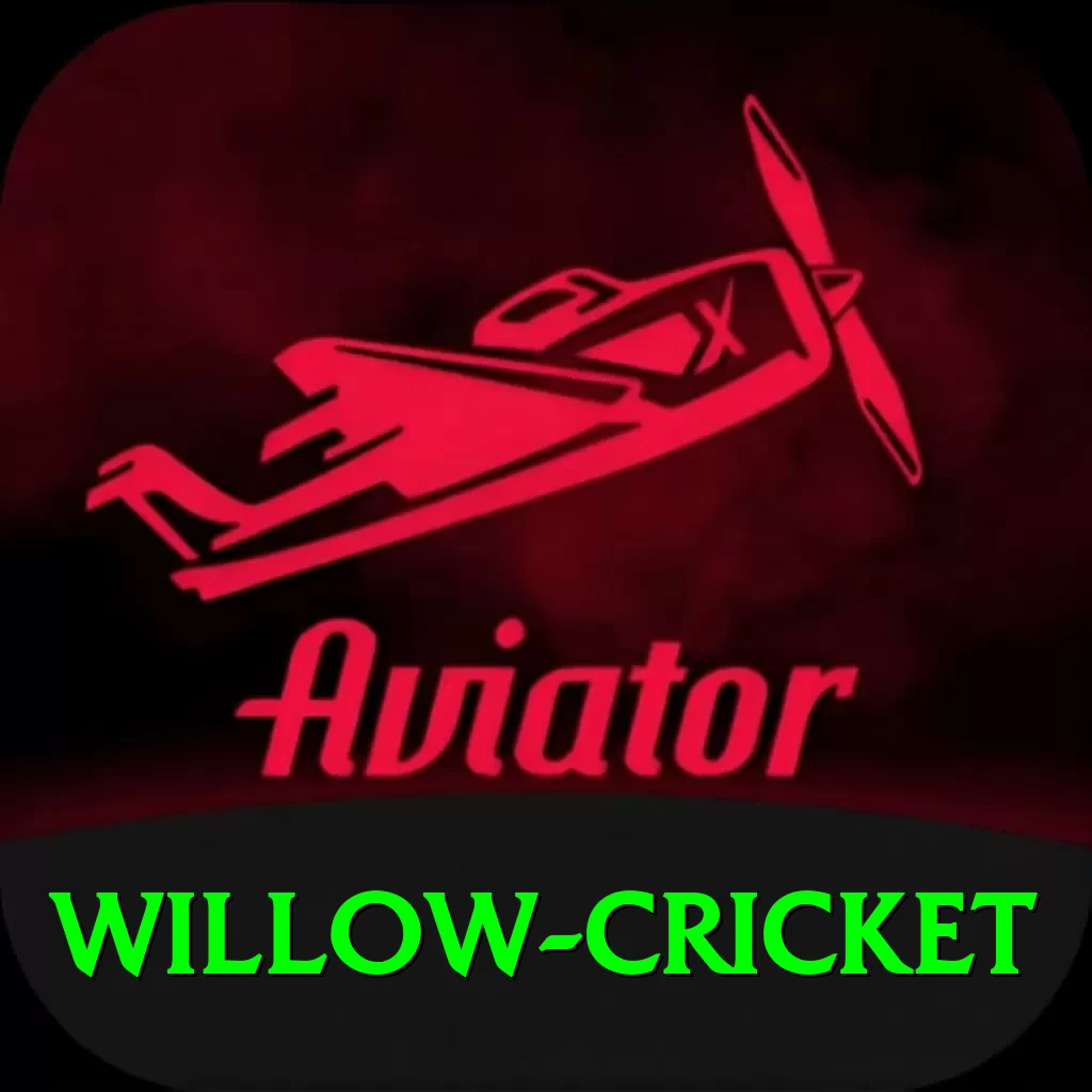 willow cricket Premium Edition v5.0.8 - 2
