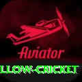 willow cricket Premium Edition v5.0.8